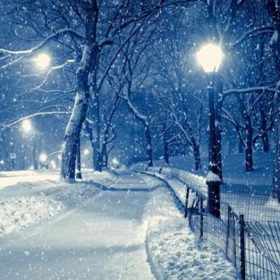 Winter Wonderland (Weisser Winterwald)
